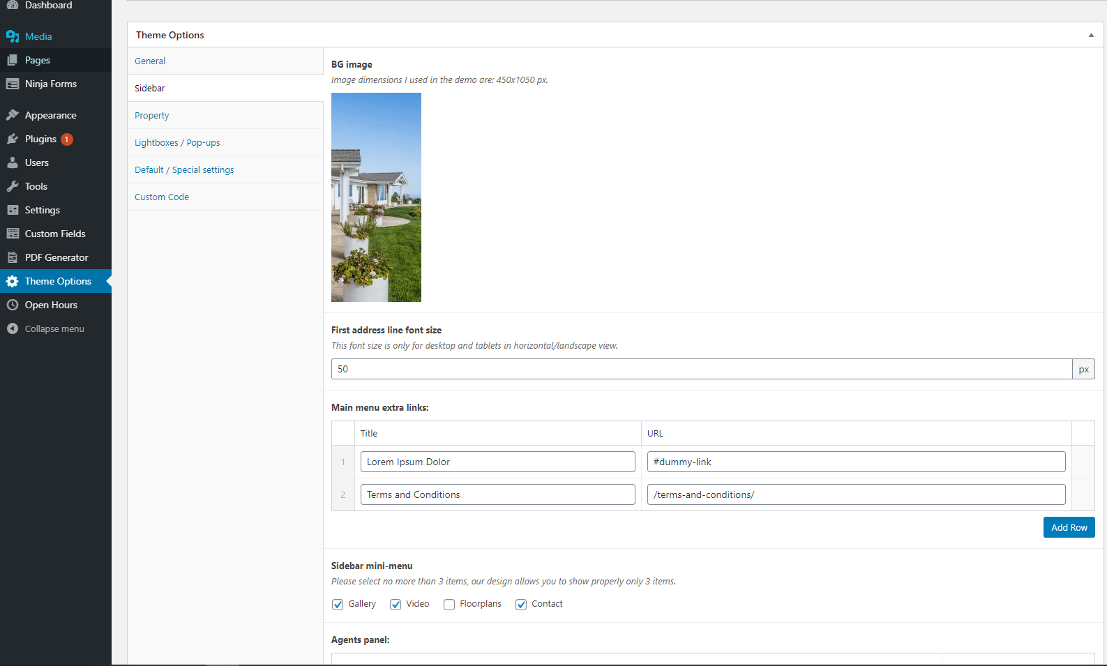 Theme Options